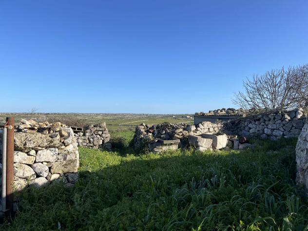 Agricolo in Contrada Renna - Foto 3