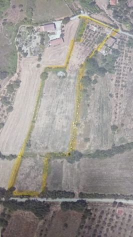 Terreno agricolo
