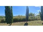 Terreno edif. residenziale in vendita a Selvatelle - Terricciola 1600 mq  R &hellip;