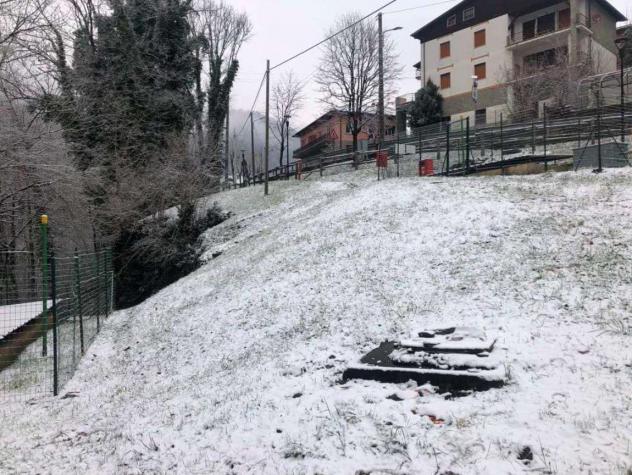 367/2023 3 BG - Terreni in asta a Taleggio