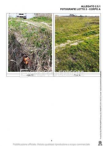 Terreno in vendita a Scanzano Jonico - Rif. 4550233 - Foto 3