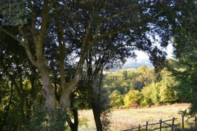 Scarperia (pressi) - Colonica libera su 2 lati al grezzo con giardino e garage - Foto 3