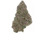 OG Kush