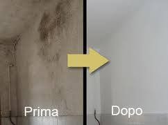 IMBIANCHINO ITALIANO - Foto 5
