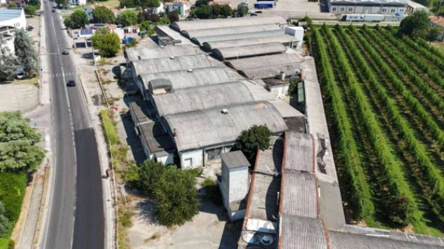Immobile in asta di 8957 m² in vendita a Cotignola - Foto 12