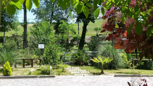 Immobile in provincia di Rimini - Foto 8