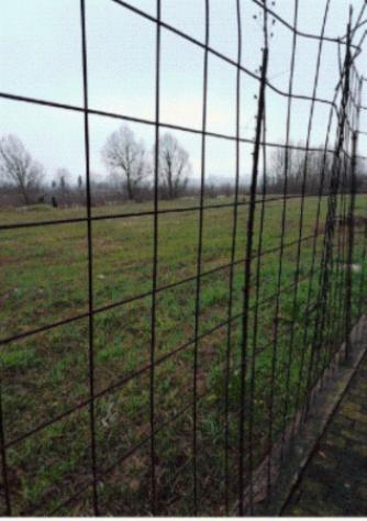 Immobile in asta di 2 m² in vendita a Pianiga - Foto 10