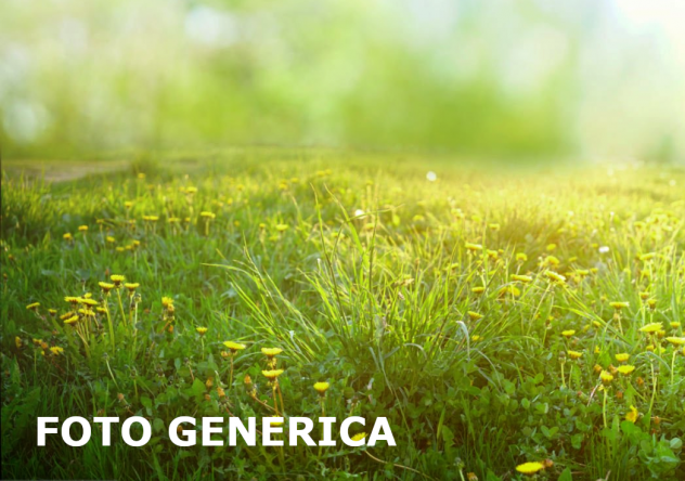Terreno agricolo in vendita a San Miniato 13733 mq  Rif: 1395033