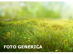 Terreno agricolo in vendita a San Miniato 13733 mq Rif: 1395033