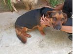 Lolo piccoletto carino e coccolone