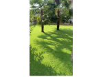 Esclusiva villa bifamiliare internamente da ultimare con giardino piantumato e t