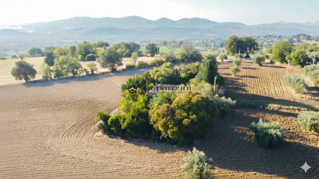 Cartoceto (pu) posizionato su un'altura che domina l'intera vallata del metauro fino alle principali spiagge di fano, non lontano dall'asse viario del - Foto 2