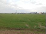 Terreno agricolo in vendita a Vicarello - Collesalvetti 25000 mq  Rif: 1047352