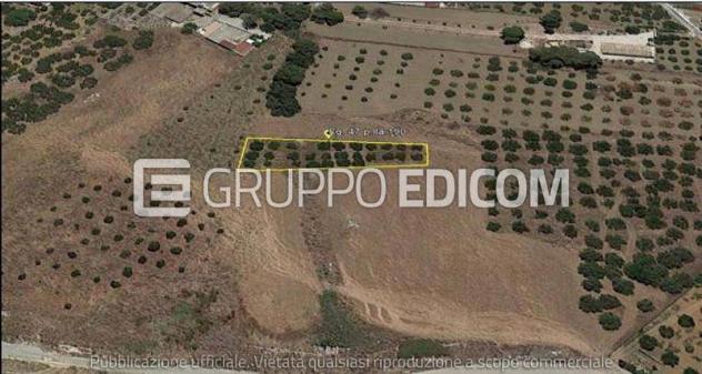Terreno in vendita a Valderice - Rif. 4551069