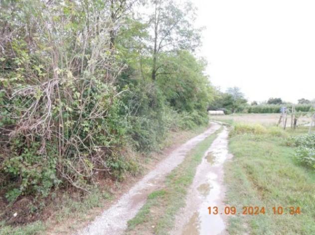 Immobile in asta di 214 m² con più di 5 locali e box auto doppio in vendita a San Pier d'Isonzo - Foto 7