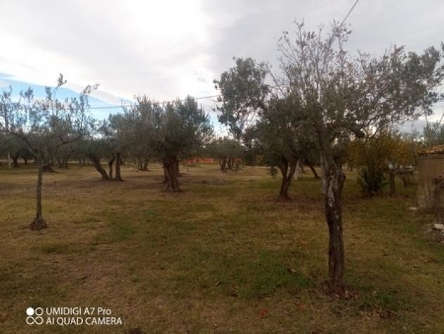 Rustico in vendita a Fossacesia - Foto 11