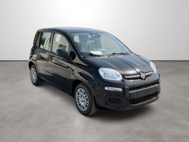 FIAT Pandina 1.0 FireFly 65 CV Hybrid Icon rif. 24167601 - Foto 3