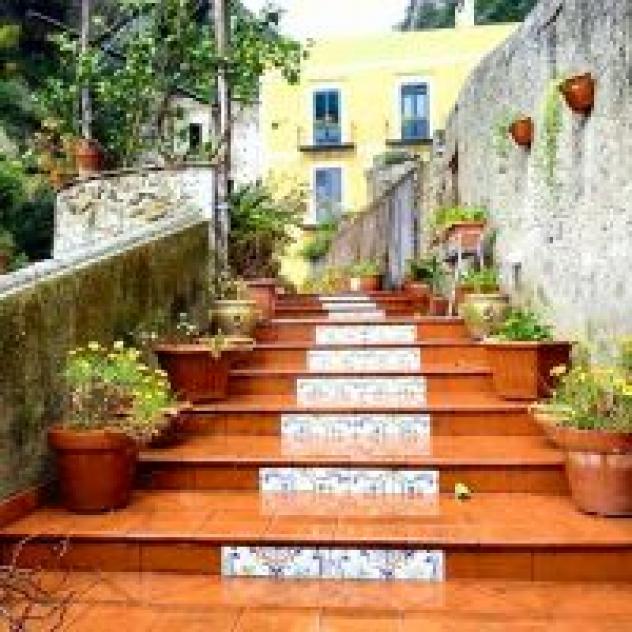 L'Argine Fiorito di Ragone Alfonso - Foto 4