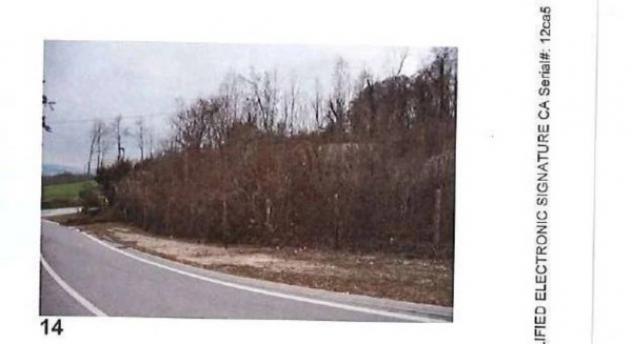 Immobile in asta di 87578 m² in vendita a Belluno - Foto 3