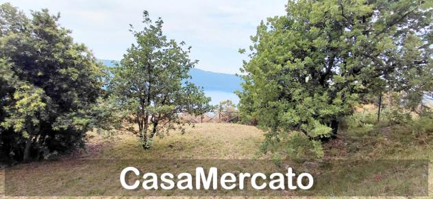 Agricolo in vendita a Rocca di Papa - Foto 7