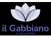 Logo Il Gabbiano S.C.S