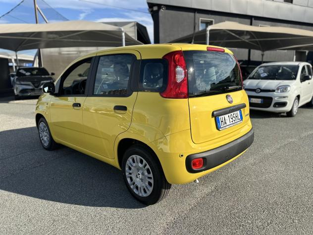 FIAT Pandina 1.0 FireFly 70cv S&S Hybrid Icon - Foto 5