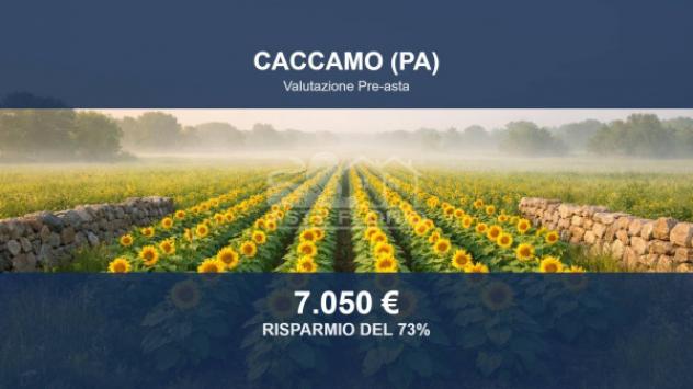Immobile in asta di 14312 m² in vendita a Caccamo