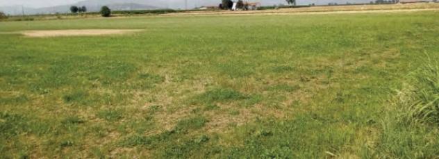 Immobile in asta di 5000 m² in vendita a Saluzzo - Foto 2