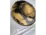 Cera carnauba per cuoio e mobili – EX5