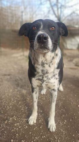 Kika - Foto 2