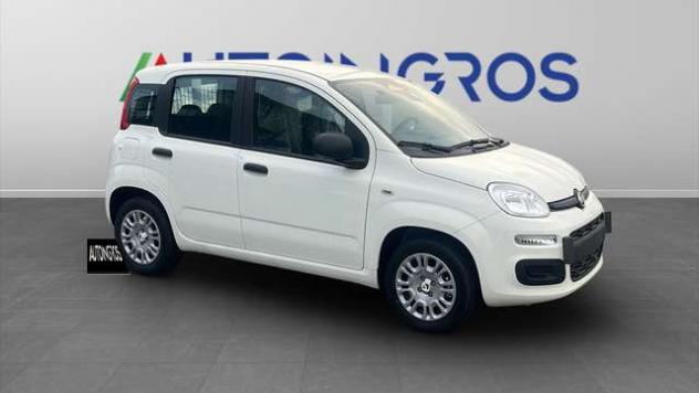 FIAT Panda 1.0 FireFly Hybrid Icon - Foto 7