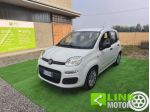 FIAT Panda FIREFLY SES HYBRID rif. 24226394