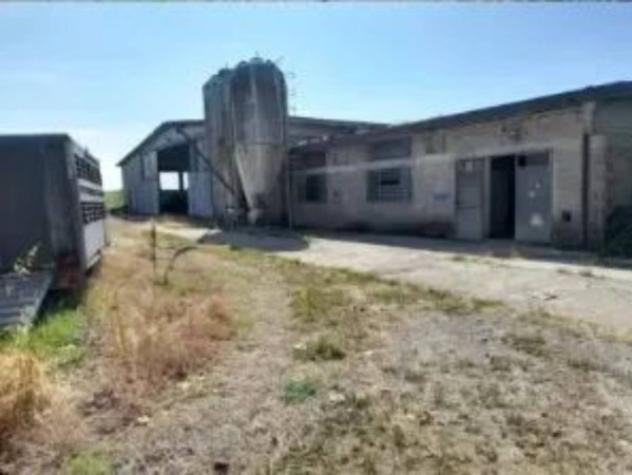 Immobile in asta di 1500 m² in vendita a Malagnino - Foto 6