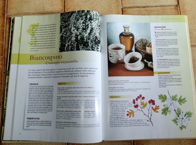 Libro "I rimedi dell'erborista" - Foto 3