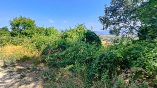 Immobile in asta di 5380 m² in vendita a Montefalco - Foto 2