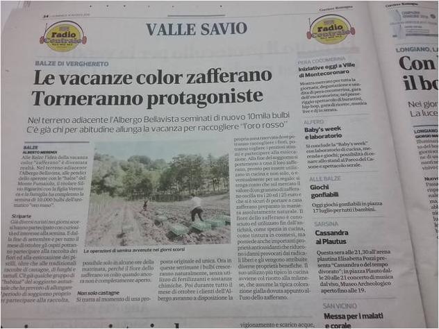BULBI DI ZAFFERANO DA REDDITO - Foto 8