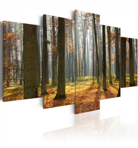 Quadro Camminando Nel Bosco 100x50 E 200x100 ARREDALACASA
