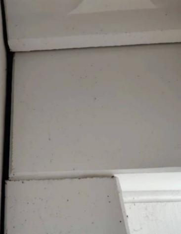 Immobile in asta di 957 m² in vendita a Umbertide - Foto 4