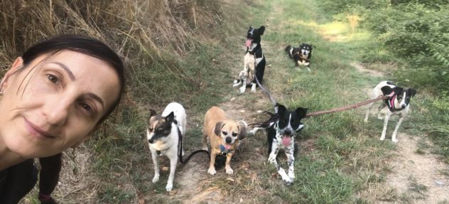 Cerco alloggio con giardino – insegnanet, 6 cani – anche soluzioni alternative - Foto 2