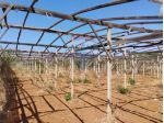 Terreno in vendita a Acate