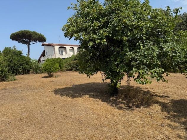 Terreno edificabile in vendita a Nettuno - Foto 2