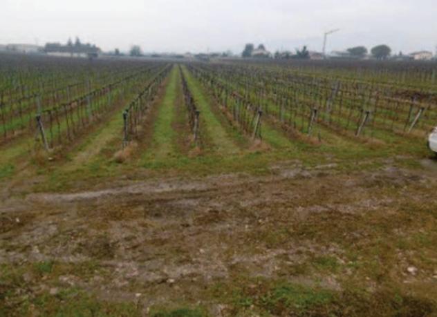 Immobile in asta di 42594 m² in vendita a Pescantina - Foto 7
