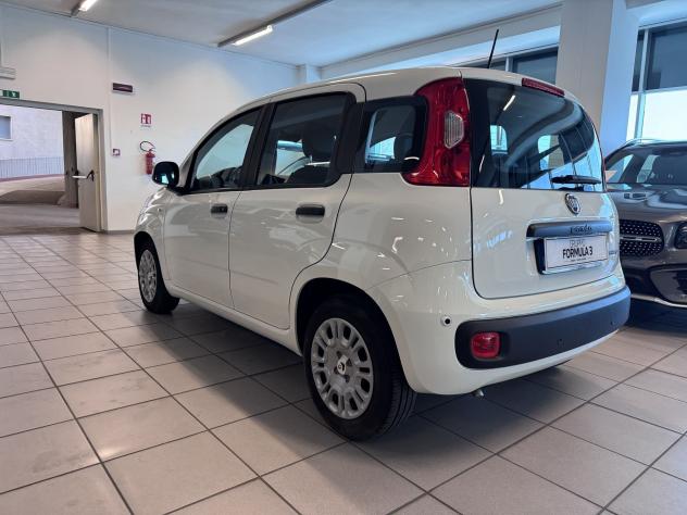 FIAT Panda 1.0 FireFly 70cv S&S Hybrid Pandina - Foto 4