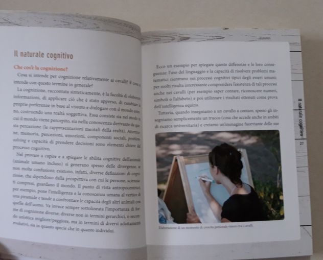 Comprendere il cavallo - Foto 4