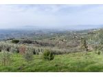 Terreno agricolo in vendita a Vitolini - Vinci 18450 mq Rif: 1399141