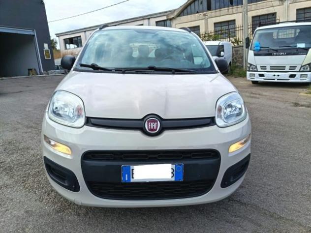 FIAT Panda 1.2 Easy rif. 24149949 - Foto 3