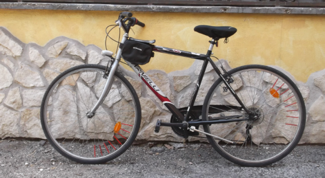 Bicicletta 28 CARNIELLI - City Bike - Foto 2
