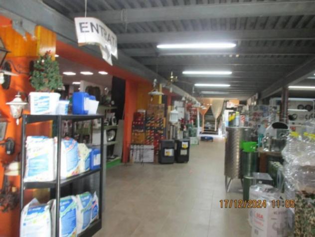 Immobile in asta di 1672 m² in vendita a Cori - Foto 5