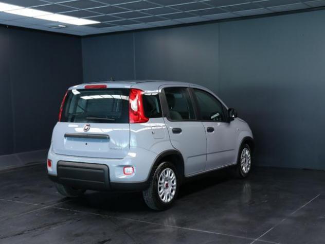 FIAT Panda 1.0 FireFly S&S Hybrid rif. 23905445 - Foto 3