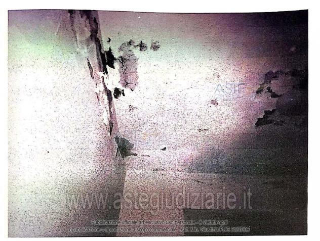 IMMOBILI-IMMOBILE COMMERCIALE-frazione Cortoghiana-via Ferrari snc - Foto 8